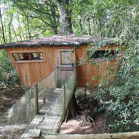 Les Ecolodges De L'Orbiere Force Exterior foto
