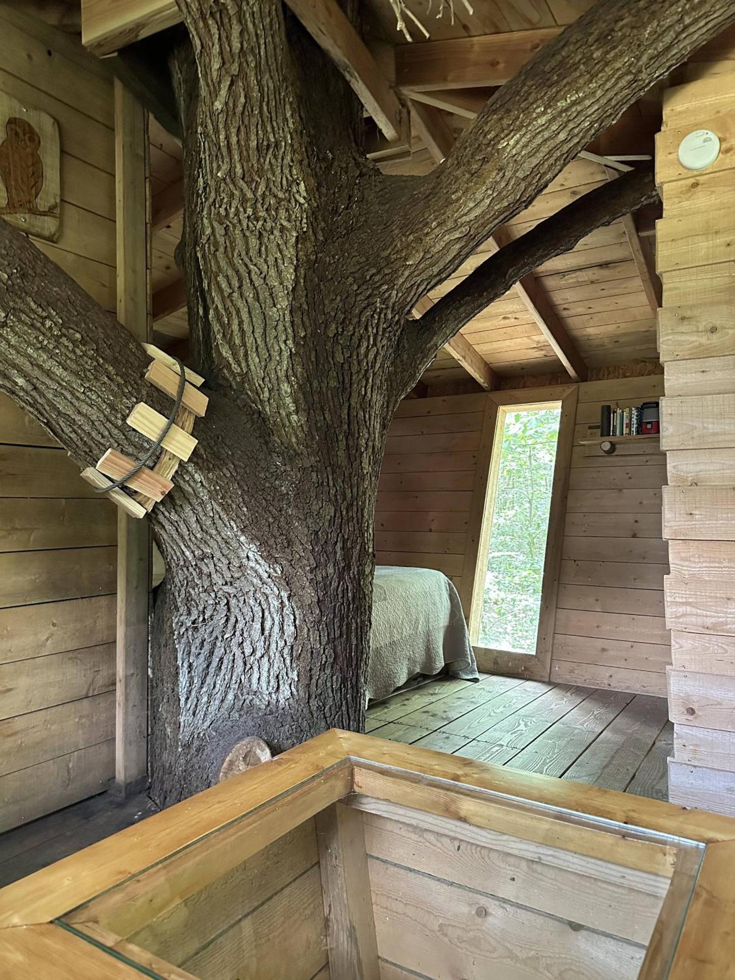 Les Ecolodges De L'Orbiere Force Exterior foto