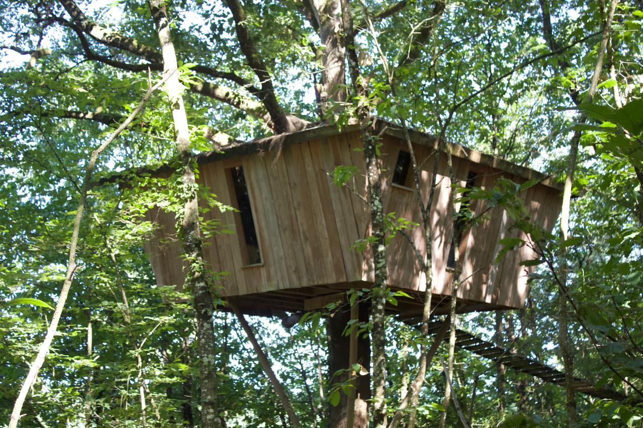 Les Ecolodges De L'Orbiere Force Exterior foto