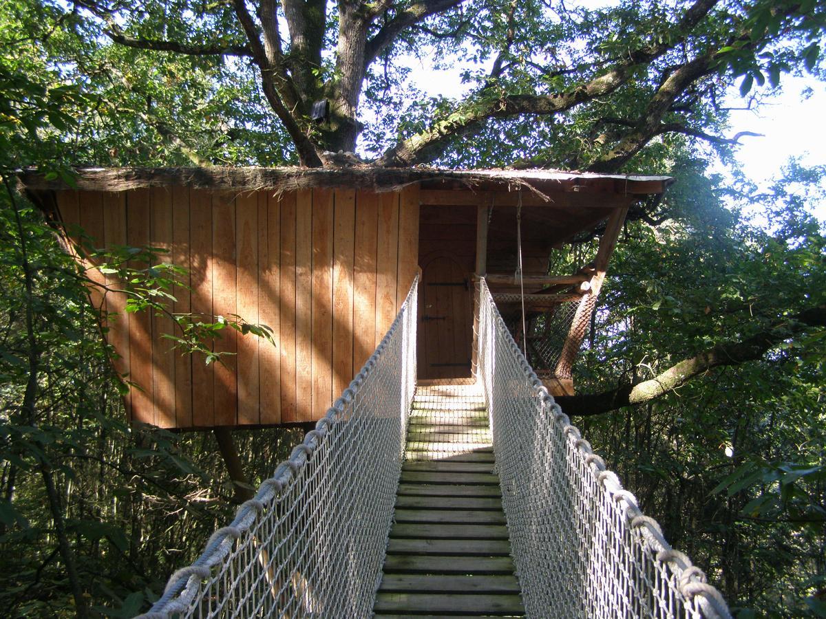Les Ecolodges De L'Orbiere Force Exterior foto