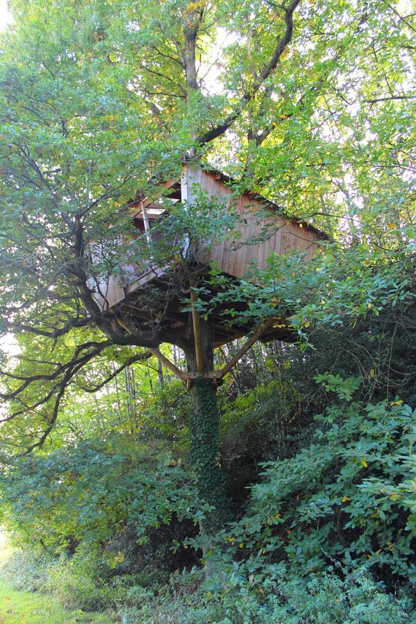 Les Ecolodges De L'Orbiere Force Exterior foto